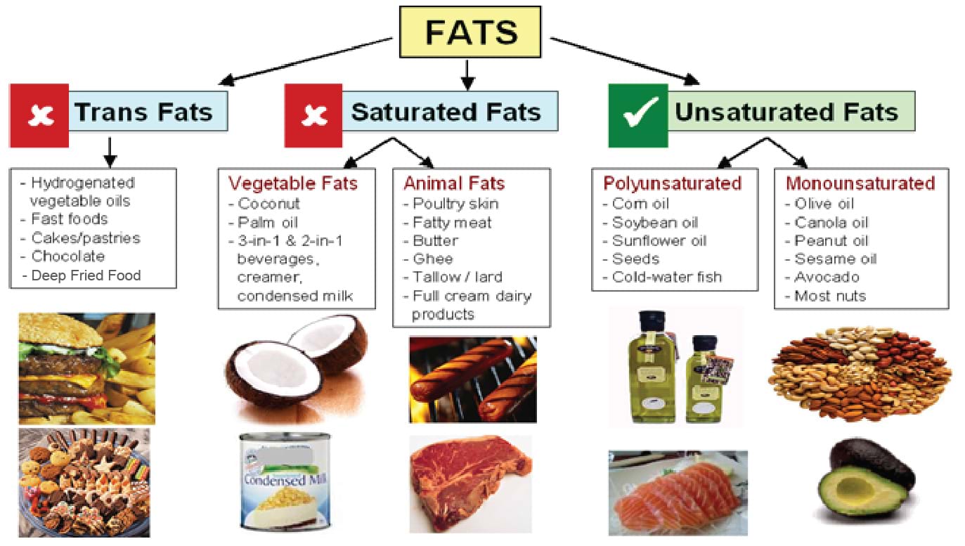 Fats The Good The Bad And The Ugly 