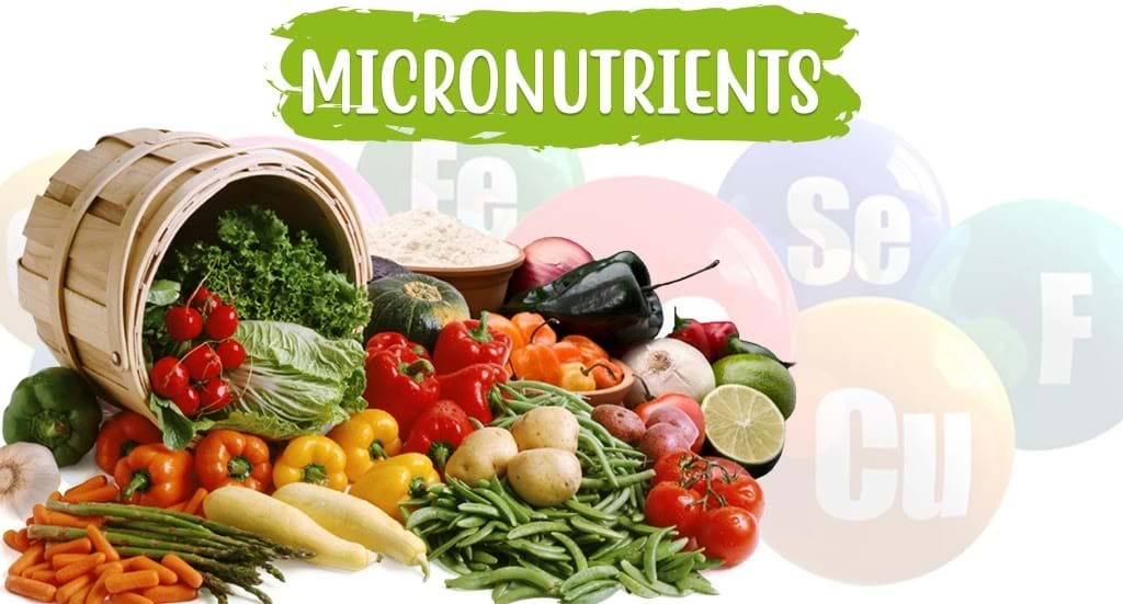 Micronutrients - Why Are They Important?