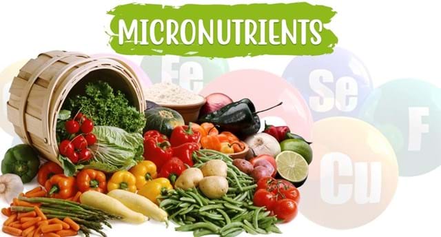Micronutrients Why Are They Important 2706